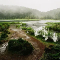 Halina 35-600 35mm Point N Shoot Film Camera -Camera Promotion Store halina 35 600 35mm point n shoot film camera 11