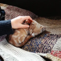 Hanimex 28mm F/2.8 Camera Lens -Camera Promotion Store hanimex 28mm f2 8 camera lens 8 5ff6f961 6118 4fe8 825b e136612b4c10