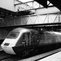 Ilford HP5 24 EXP 400 35mm Film -Camera Promotion Store ilford hp5 24 exp 400 35mm film 6