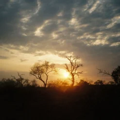 Kodak ColorPlus 36 EXP 200 35mm Colour Film For Camera 16 Kodak ColorPlus 36 EXP 200 35mm Colour Film For Camera -Camera Promotion Store kodak colorplus 36 exp 200 35mm film for camera 5