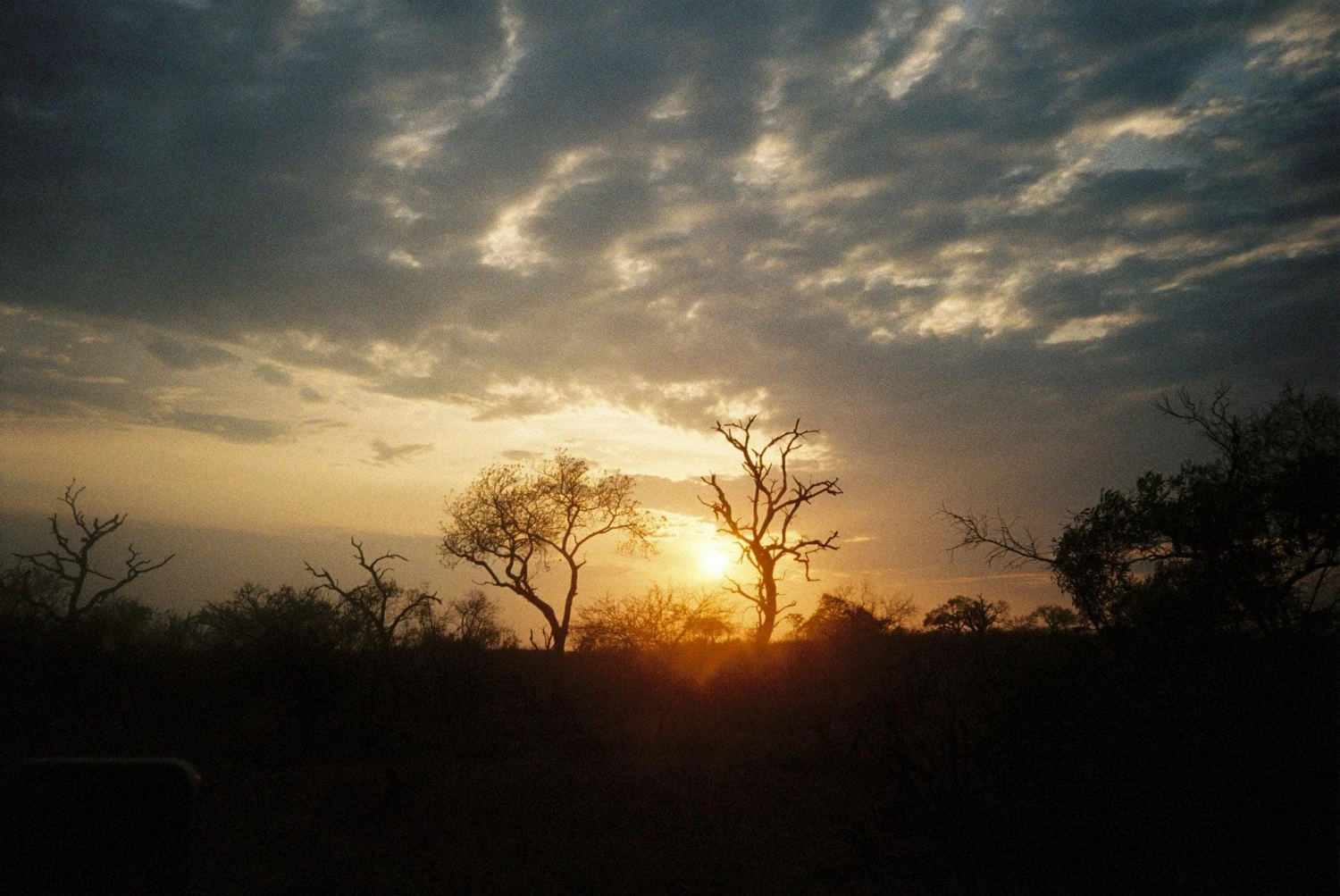 Kodak ColorPlus 36 EXP 200 35mm Colour Film For Camera 7 Kodak ColorPlus 36 EXP 200 35mm Colour Film For Camera - Image 5