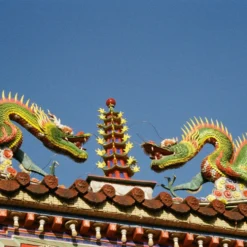 Kodak ColorPlus 36 EXP 200 35mm Colour Film For Camera 18 Kodak ColorPlus 36 EXP 200 35mm Colour Film For Camera -Camera Promotion Store kodak colorplus 36 exp 200 35mm film for camera 7