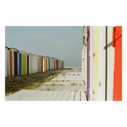 Kodak GOLD 200 24 Exp 35mm Film Double Pack EXPIRED -Camera Promotion Store kodak gold 200 24 exp 35mm film double pack expired 4