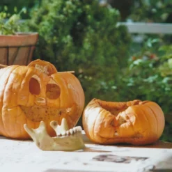 Kodak GOLD 200 24 Exposures 35mm Colour Film 21 Kodak GOLD 200 24 Exposures 35mm Colour Film -Camera Promotion Store kodak gold 200 24 exposures 35mm colour film 10