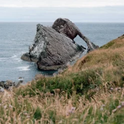 Kodak GOLD 200 24 Exposures 35mm Colour Film 18 Kodak GOLD 200 24 Exposures 35mm Colour Film -Camera Promotion Store kodak gold 200 24 exposures 35mm colour film 7