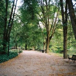 Kodak GOLD 200 24 Exposures 35mm Colour Film 20 Kodak GOLD 200 24 Exposures 35mm Colour Film -Camera Promotion Store kodak gold 200 24 exposures 35mm colour film 9