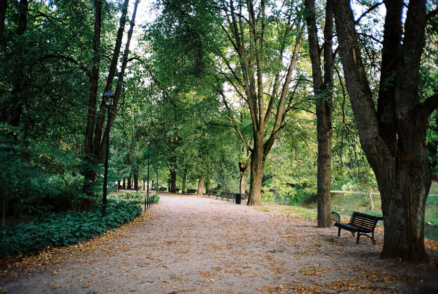 Kodak GOLD 200 24 Exposures 35mm Colour Film 11 Kodak GOLD 200 24 Exposures 35mm Colour Film - Image 9