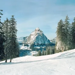 Konica Autoreflex T Vintage SLR 35mm Film Camera With Konica F/1.8 50mm Lens -Camera Promotion Store konica autoreflex t vintage slr 35mm film camera with konica f1 8 50mm lens 15