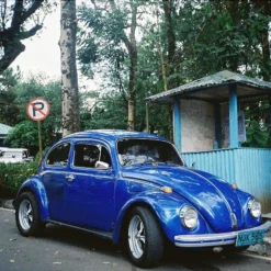 Konica C35 35mm Point And Shoot Film Camera -Camera Promotion Store konica c35 35mm point and shoot film camera 11