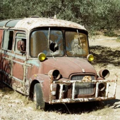 Konica MT-9 35mm Point N Shoot Film Camera -Camera Promotion Store konica mt 9 35mm point n shoot film camera 11