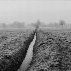 Konica MT-9 35mm Point N Shoot Film Camera -Camera Promotion Store konica mt 9 35mm point n shoot film camera 12