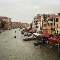 Konica MT-9 35mm Point N Shoot Film Camera -Camera Promotion Store konica mt 9 35mm point n shoot film camera 8