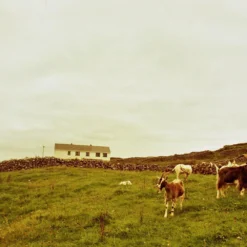 Makinon MC Zoom 35-200mm F/4 Camera Lens -Camera Promotion Store makinon mc zoom 35 200mm f4 camera lens 8