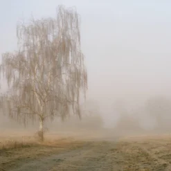 Mamiya 7 With 80mm F4 Lens. 6X7 Medium Format Film Camera 26 Mamiya 7 With 80mm F4 Lens. 6X7 Medium Format Film Camera -Camera Promotion Store mamiya 7 with 80mm f4 lens 6x7 medium format film camera 10