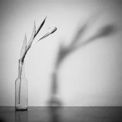 Mamiya 7 With 80mm F4 Lens. 6X7 Medium Format Film Camera 29 Mamiya 7 With 80mm F4 Lens. 6X7 Medium Format Film Camera -Camera Promotion Store mamiya 7 with 80mm f4 lens 6x7 medium format film camera 13