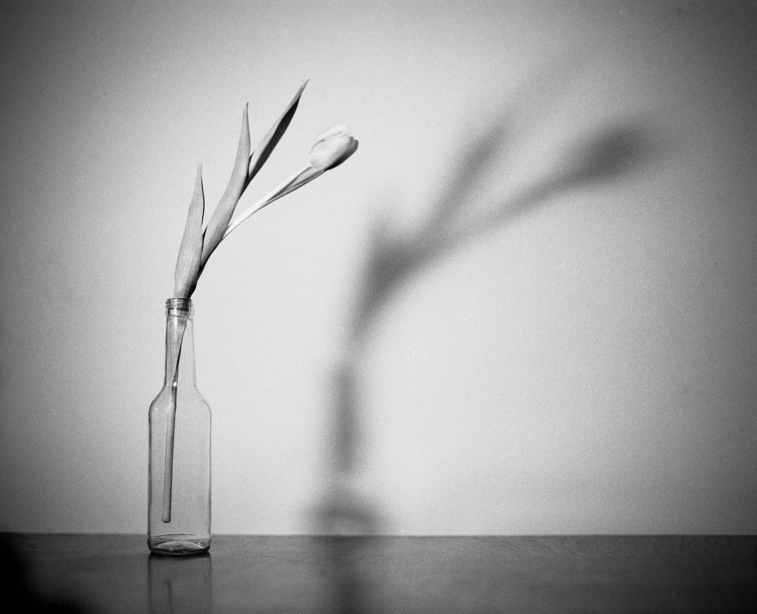 Mamiya 7 With 80mm F4 Lens. 6X7 Medium Format Film Camera 15 Mamiya 7 With 80mm F4 Lens. 6X7 Medium Format Film Camera - Image 13