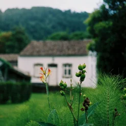 Mamiya DSX 1000 35mm Film Camera With Seekor 55mm F/1.4 Lens -Camera Promotion Store mamiya dsx 1000 35mm film camera with seekor 55mm f1 4 lens 8 scaled