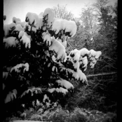 Mamiya M645J With 80mm F2.8 Lens. 6X4.5 Medium Format Film Camera. 29 Mamiya M645J With 80mm F2.8 Lens. 6X4.5 Medium Format Film Camera. -Camera Promotion Store mamiya m645j with 80mm f2 8 lens 6x4 5 medium format film camera 14 scaled