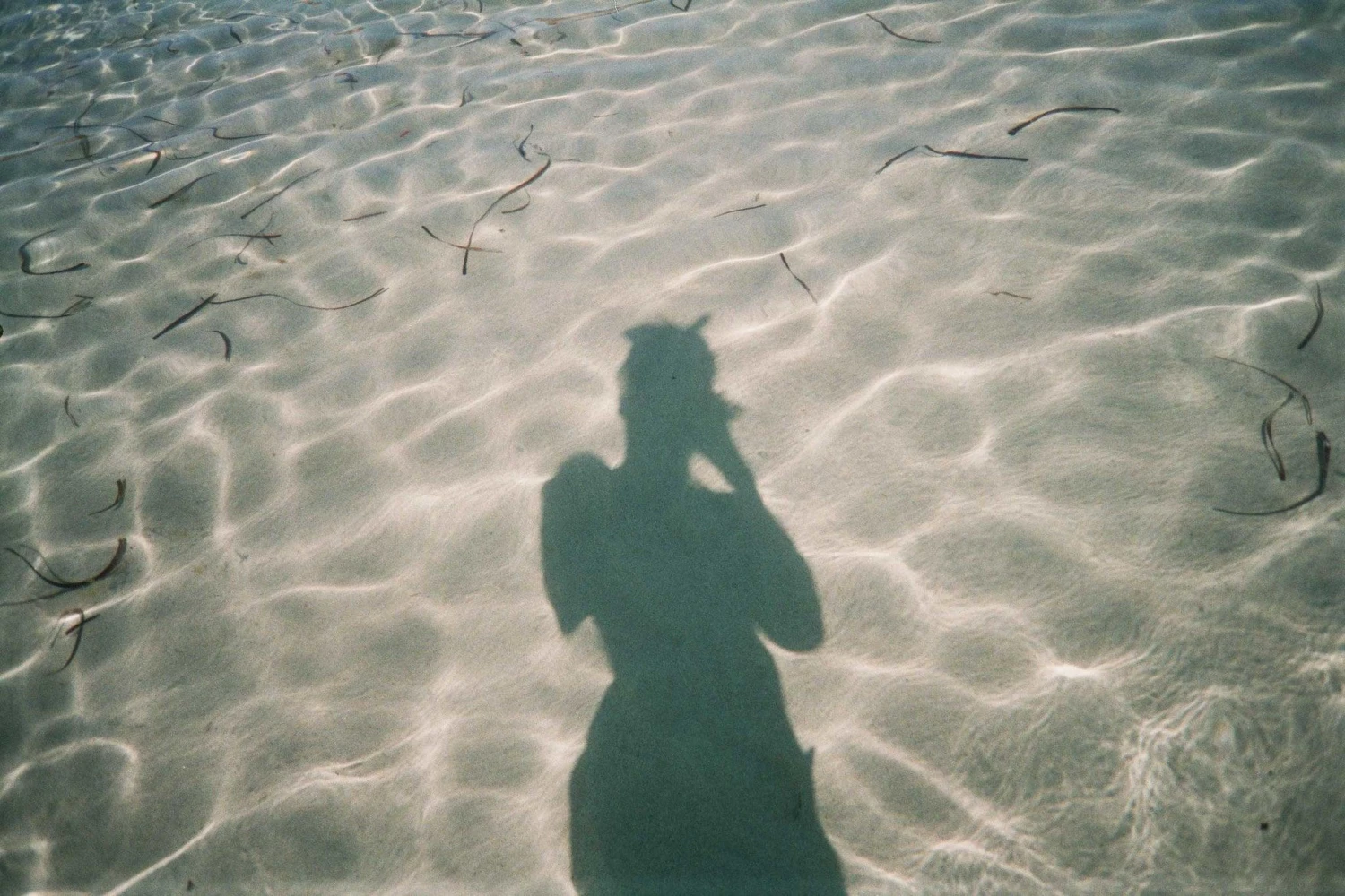 Minolta AF50 Big Finder 35mm Film Camera Point And Shoot 9 Minolta AF50 Big Finder 35mm Film Camera Point And Shoot - Image 7