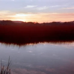 Minolta Dynax 3000i Automatic 35mm SLR Film Camera With Auto Zoom Lens -Camera Promotion Store minolta dynax 3000i automatic 35mm slr film camera with auto zoom lens 10