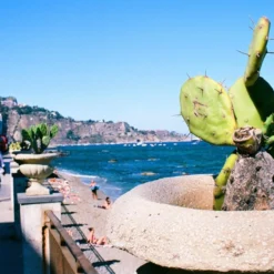 Minolta Dynax 303si AutomatIc SLR 35mm Film Camera With Auto Zoom Lens 23 Minolta Dynax 303si AutomatIc SLR 35mm Film Camera With Auto Zoom Lens -Camera Promotion Store minolta dynax 303si automatic slr 35mm film camera with auto zoom lens 11