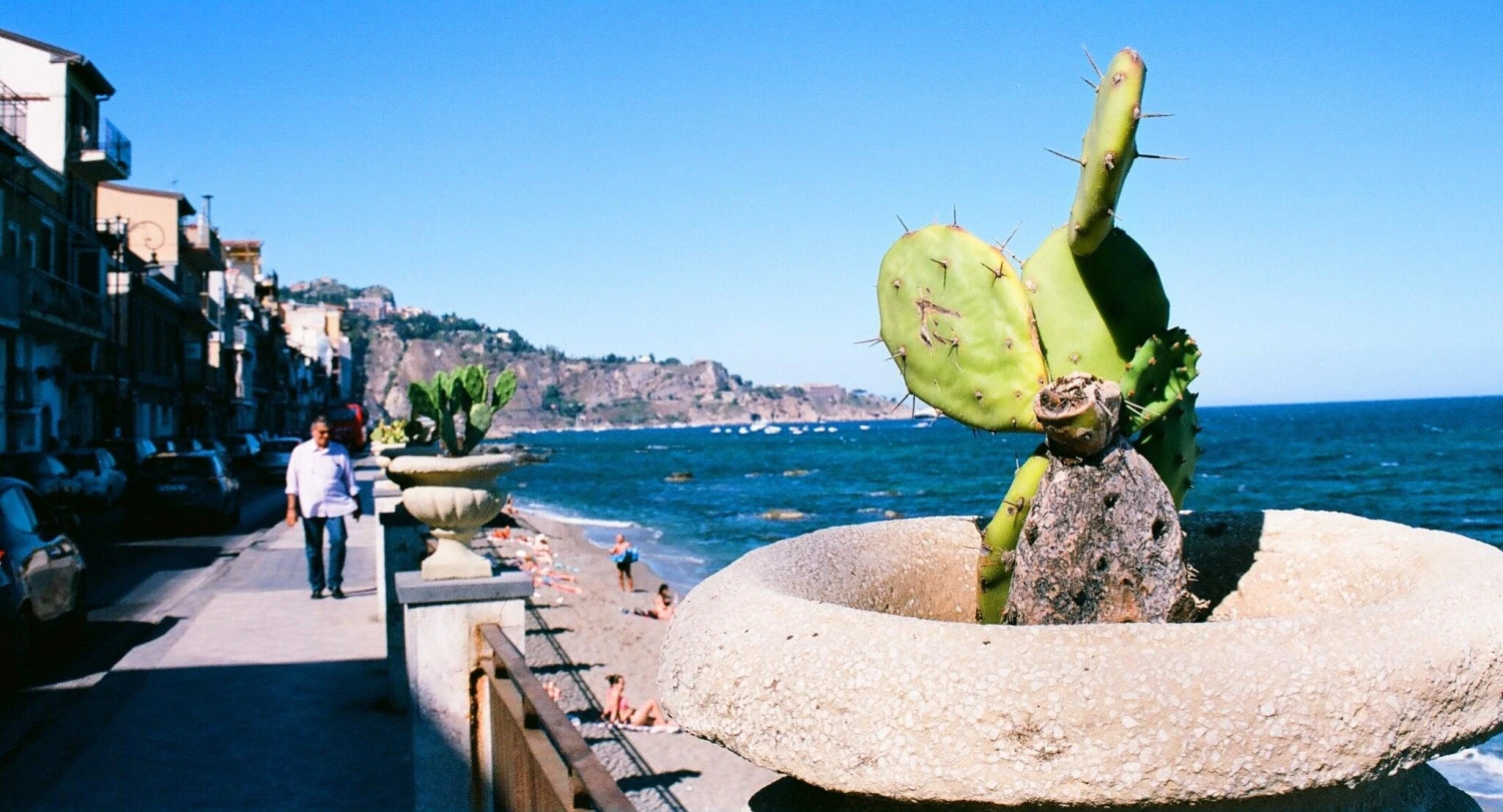 Minolta Dynax 303si AutomatIc SLR 35mm Film Camera With Auto Zoom Lens 13 Minolta Dynax 303si AutomatIc SLR 35mm Film Camera With Auto Zoom Lens - Image 11