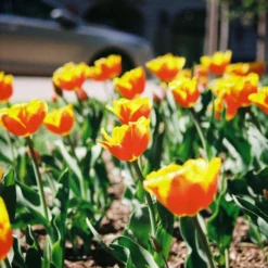 Minolta Dynax 404si Automatic SLR 35mm Film Camera With Auto Zoom Lens -Camera Promotion Store minolta dynax 404si automatic slr 35mm film camera with auto zoom lens 11