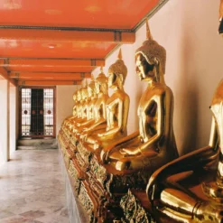 Minolta Dynax 5 Automatic 35mm SLR Film Camera W/ Auto Zoom Lens -Camera Promotion Store minolta dynax 5 automatic 35mm slr film camera w auto zoom lens 6