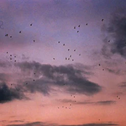 Minolta Dynax 8000i Automatic 35mm SLR Film Camera W/ Auto Zoom Lens -Camera Promotion Store minolta dynax 8000i automatic 35mm slr film camera w auto zoom lens 8