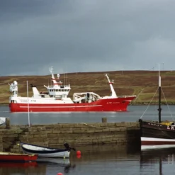 Minolta Maxxum 7000i Automatic SLR 35mm Film Camera With Minolta AF 35mm-105mm Zoom Lens -Camera Promotion Store minolta maxxum 7000i automatic slr 35mm film camera with minolta af 35mm 105mm zoom lens 13