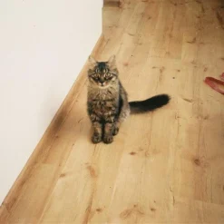 Minolta Riva AF35C 35mm Film Camera Point And Shoot -Camera Promotion Store minolta riva af35c 35mm film camera point and shoot 8