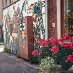 Minolta Riva Zoom 140 35mm Film Camera Point And Shoot 32 Minolta Riva Zoom 140 35mm Film Camera Point And Shoot -Camera Promotion Store minolta riva zoom 140 35mm film camera point and shoot 14