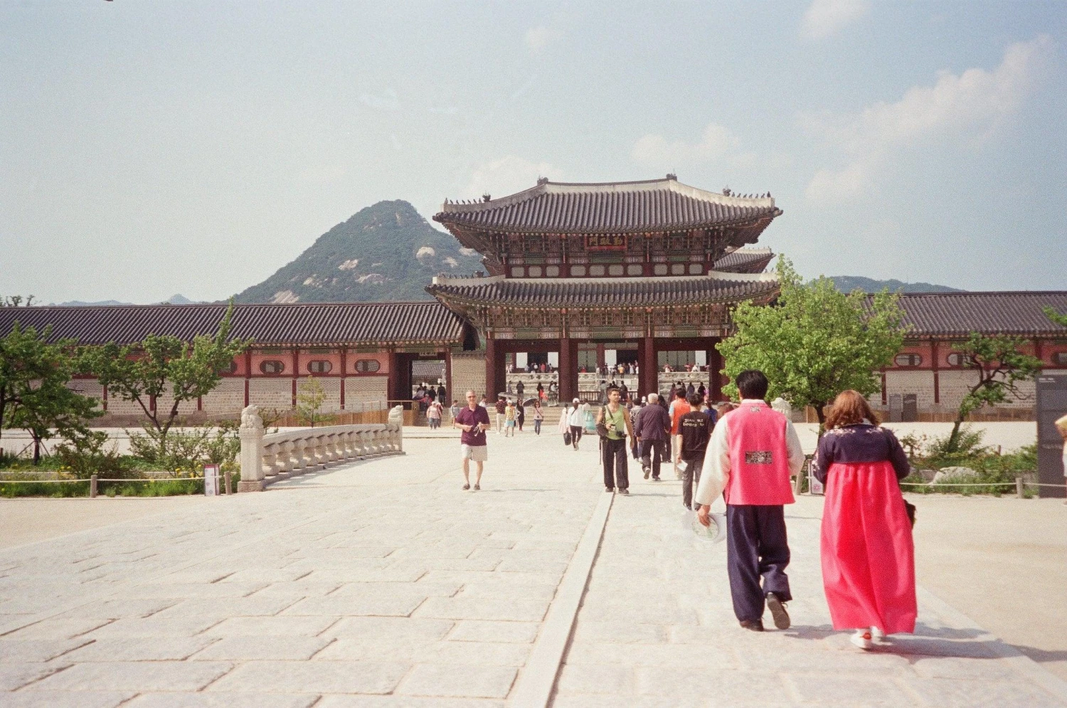 Minolta Riva Zoom 140 35mm Film Camera Point And Shoot 19 Minolta Riva Zoom 140 35mm Film Camera Point And Shoot - Image 17