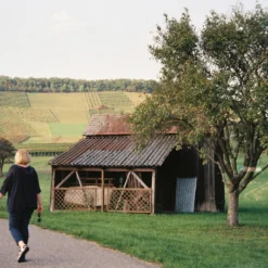 Minolta Riva Zoom 140 35mm Film Camera Point And Shoot 25 Minolta Riva Zoom 140 35mm Film Camera Point And Shoot -Camera Promotion Store minolta riva zoom 140 35mm film camera point and shoot 7