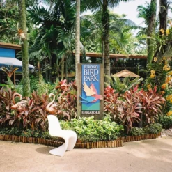 Minolta Riva Zoom 75W 35mm Film Camera Point And Shoot -Camera Promotion Store minolta riva zoom 75w 35mm film camera point and shoot 10