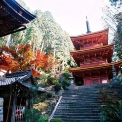 Minolta X-500 SLR 35mm Film Camera With Auto Zoom Lens 26 Minolta X-500 SLR 35mm Film Camera With Auto Zoom Lens -Camera Promotion Store minolta x 500 slr 35mm film camera with auto zoom lens 12