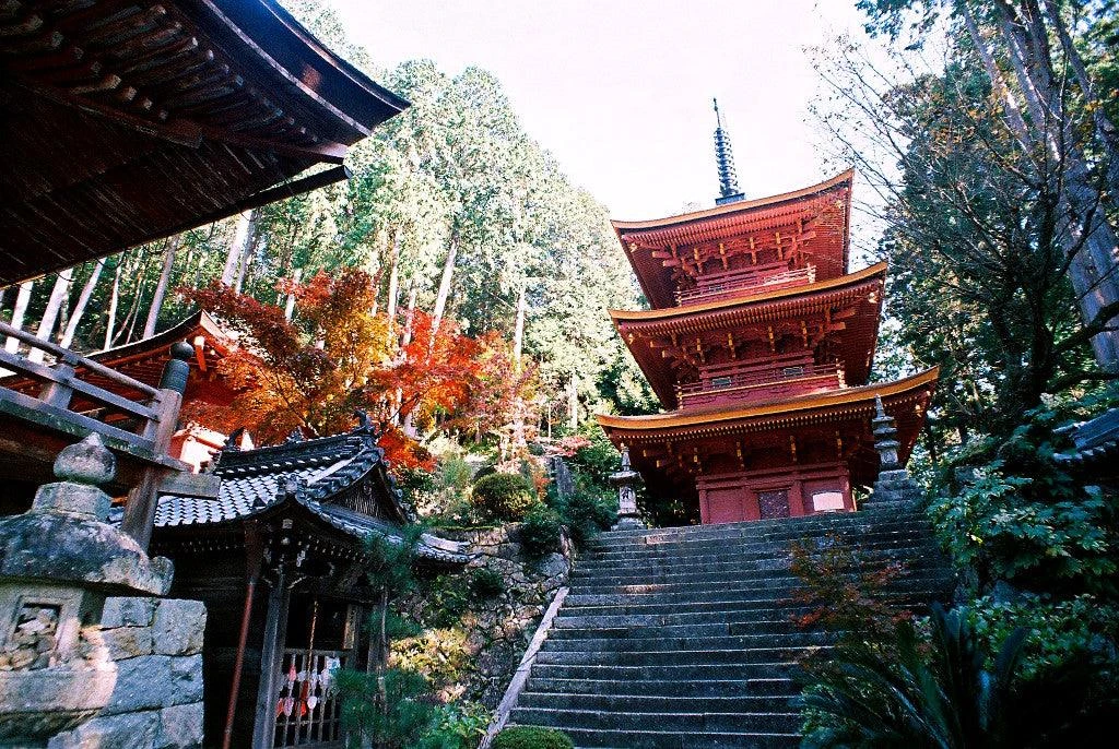 Minolta X-500 SLR 35mm Film Camera With Auto Zoom Lens 14 Minolta X-500 SLR 35mm Film Camera With Auto Zoom Lens - Image 12