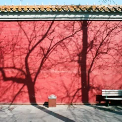 Minolta X-500 SLR 35mm Film Camera With Auto Zoom Lens 22 Minolta X-500 SLR 35mm Film Camera With Auto Zoom Lens -Camera Promotion Store minolta x 500 slr 35mm film camera with auto zoom lens 8