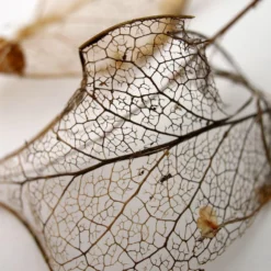 Miranda 24mm F/2.8 Macro Camera Lens -Camera Promotion Store miranda 24mm f2 8 macro camera lens 8