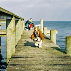 Nikomat EL Vintage 35mm SLR Film Camera W/ Nikkor-S F/2.8 35mm Lens 24 Nikomat EL Vintage 35mm SLR Film Camera W/ Nikkor-S F/2.8 35mm Lens -Camera Promotion Store nikomat el vintage 35mm slr film camera w nikkor s f2 8 35mm lens 11