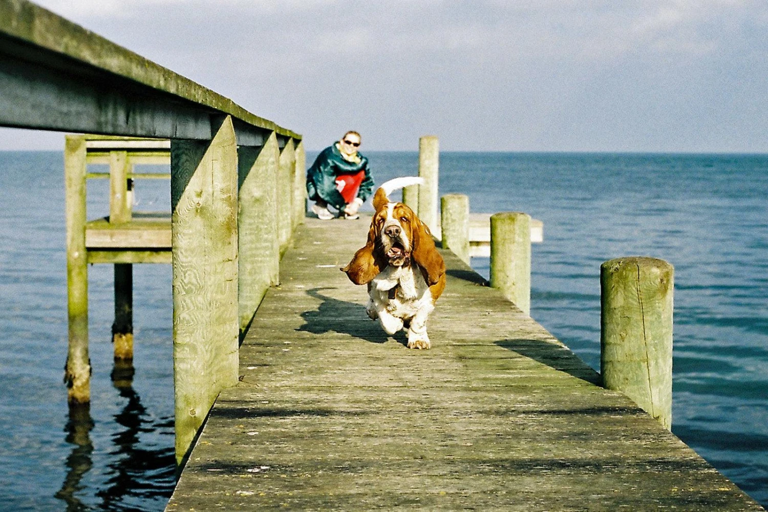 Nikomat EL Vintage 35mm SLR Film Camera W/ Nikkor-S F/2.8 35mm Lens 13 Nikomat EL Vintage 35mm SLR Film Camera W/ Nikkor-S F/2.8 35mm Lens - Image 11