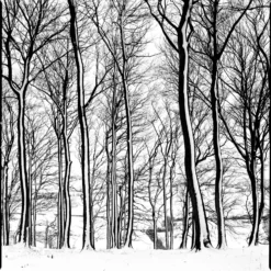 Nikon-AF240SV 35mm Point N Shoot Film Camera 23 Nikon-AF240SV 35mm Point N Shoot Film Camera -Camera Promotion Store nikon af240sv 35mm point n shoot film camera 10