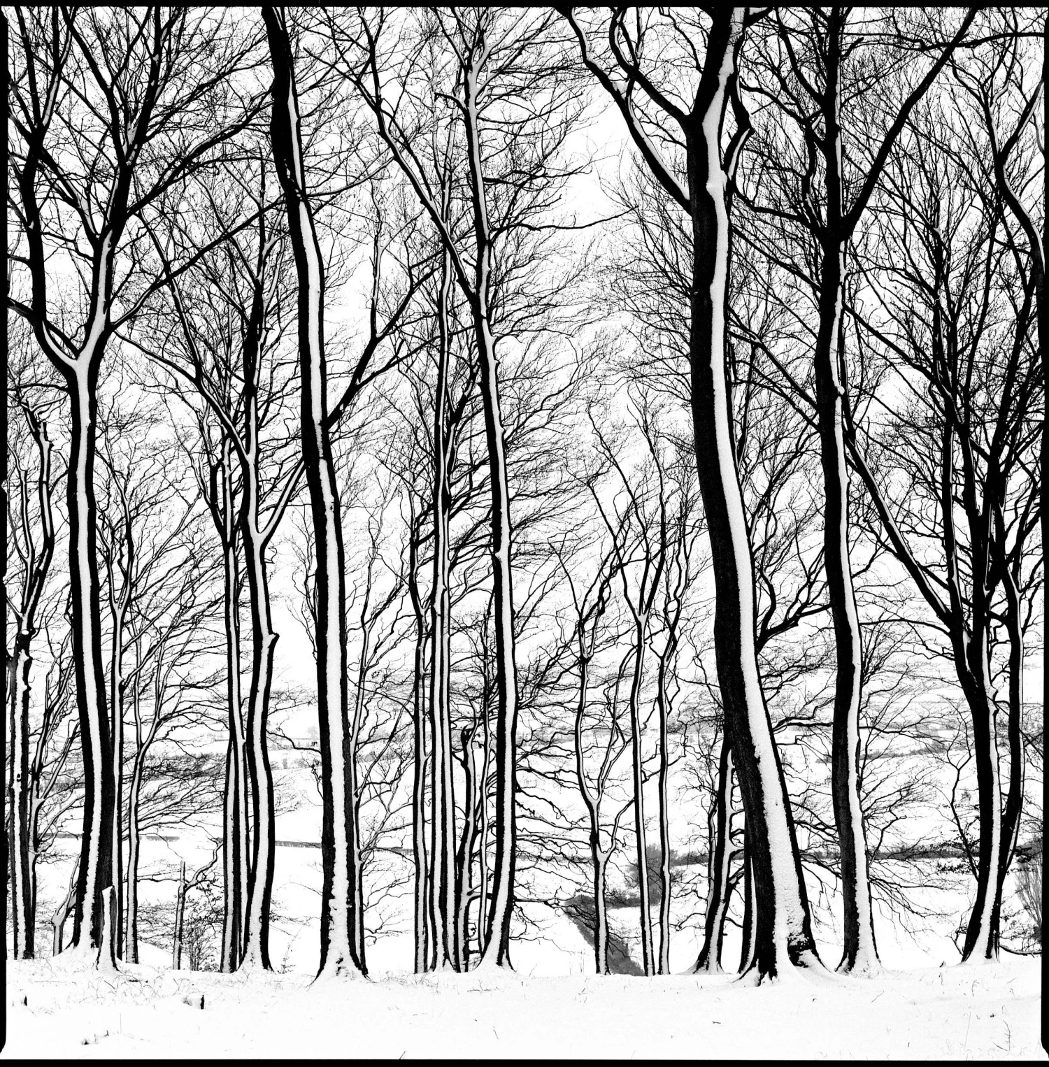 Nikon-AF240SV 35mm Point N Shoot Film Camera 12 Nikon-AF240SV 35mm Point N Shoot Film Camera - Image 10