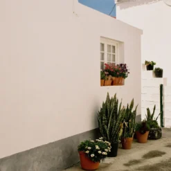 Nikon-AF240SV 35mm Point N Shoot Film Camera 25 Nikon-AF240SV 35mm Point N Shoot Film Camera -Camera Promotion Store nikon af240sv 35mm point n shoot film camera 12 scaled