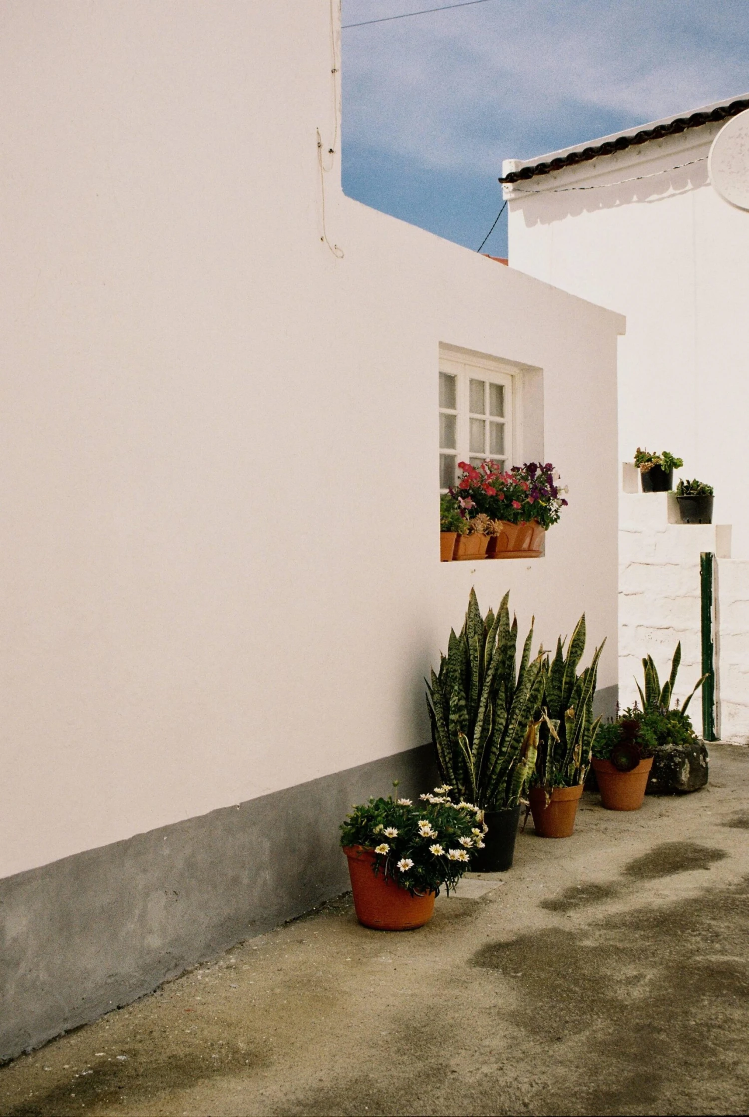 Nikon-AF240SV 35mm Point N Shoot Film Camera 14 Nikon-AF240SV 35mm Point N Shoot Film Camera - Image 12