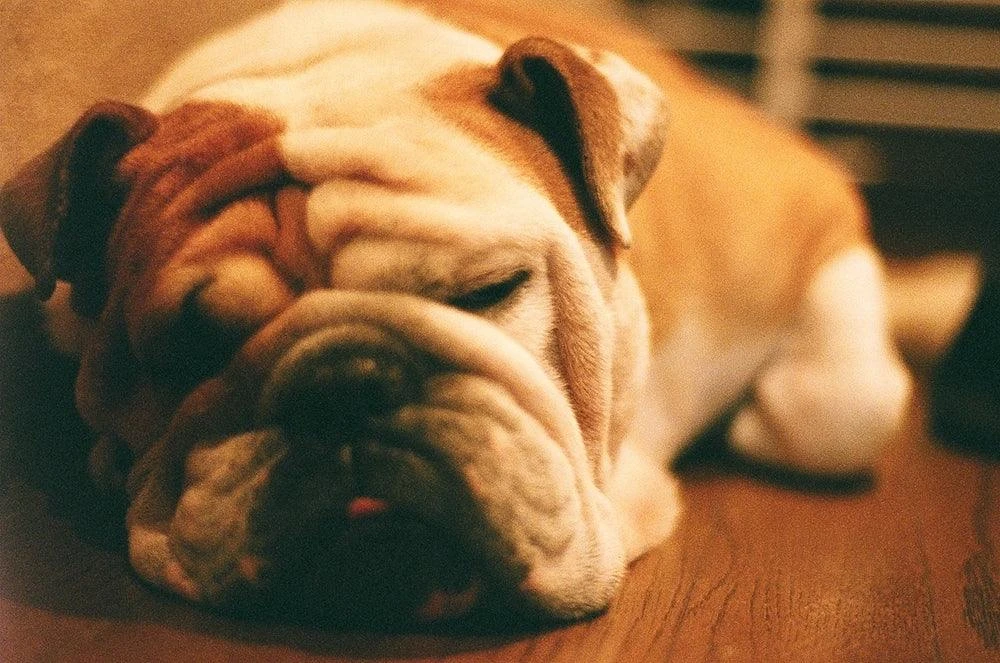 Nikon EM 35mm SLR Film Camera - Body Only 9 Nikon EM 35mm SLR Film Camera - Body Only - Image 7