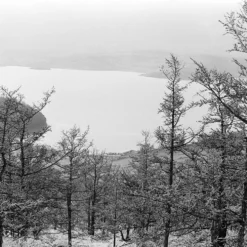 Nikon EM 35mm SLR Film Camera With Nikon Series E 50mm F1.8 Lens -Camera Promotion Store nikon em 35mm slr film camera with nikon series e 50mm f1 8 lens 11