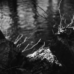 Nikon EM 35mm SLR Film Camera With Nikon Series E 50mm F1.8 Lens -Camera Promotion Store nikon em 35mm slr film camera with nikon series e 50mm f1 8 lens 9