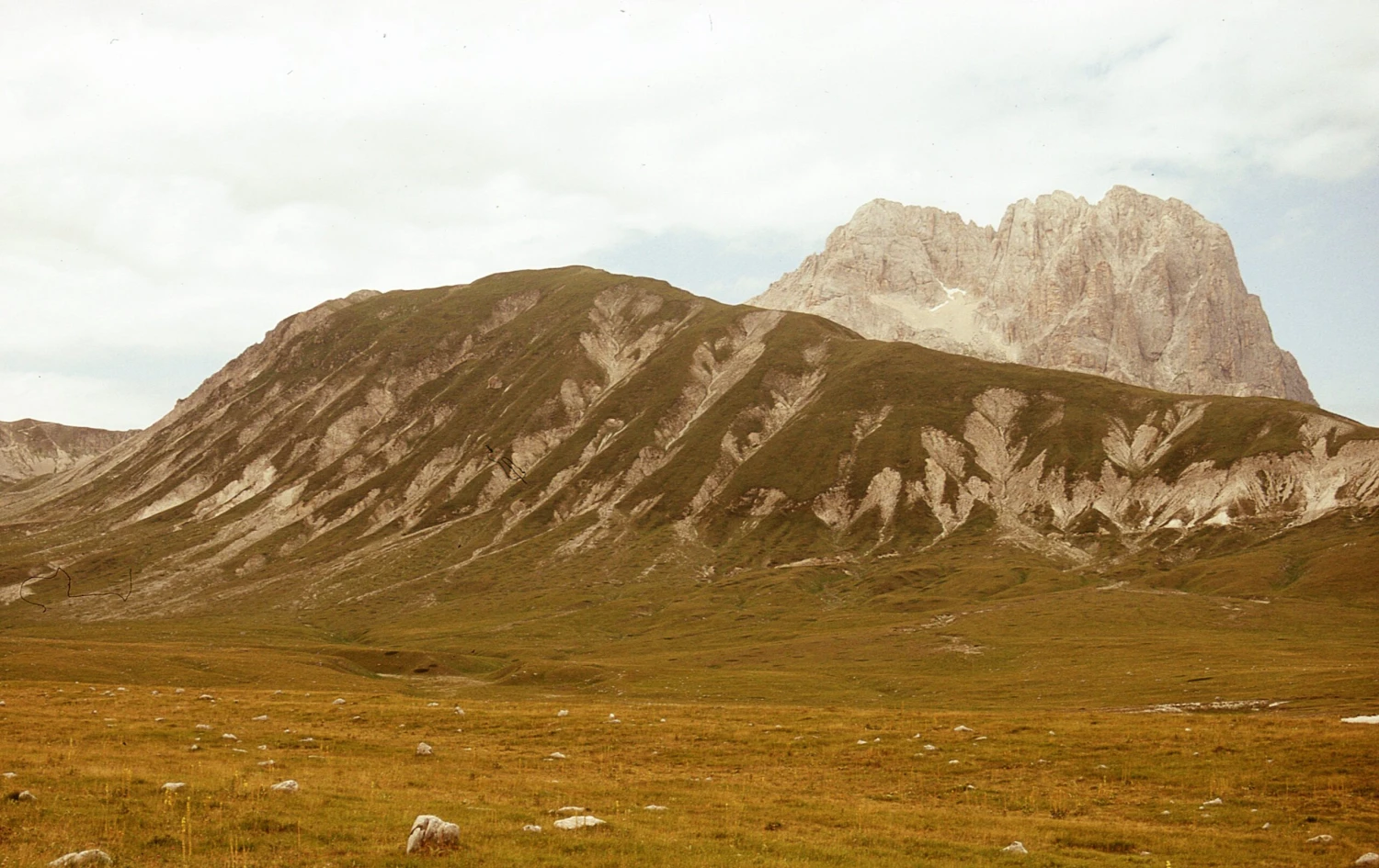 Nikon F55 35mm SLR Film Camera W/ 28-80mm Lens 10 Nikon F55 35mm SLR Film Camera W/ 28-80mm Lens - Image 8