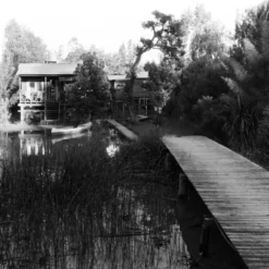 Nikon FE (Silver) 35mm SLR Film Camera With Nikkor 50mm F1.8 Lens -Camera Promotion Store nikon fe silver 35mm slr film camera with nikkor 50mm f1 8 lens 15